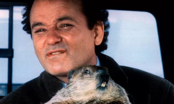 Bill Murray Bitten by Groundhog During Filming –