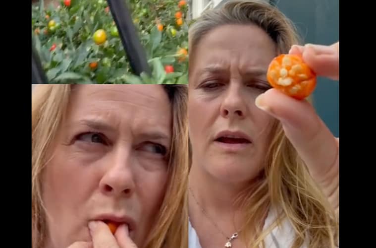 Is Alicia Silverstone Alive Toxic Fruit TikTok Sparks Concern