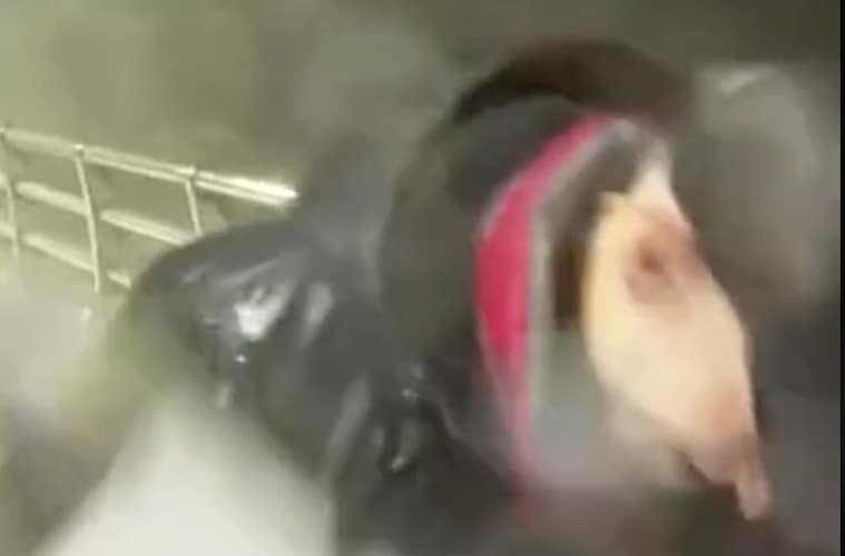 Object Hits Anderson Cooper Hurricane Live Broadcast