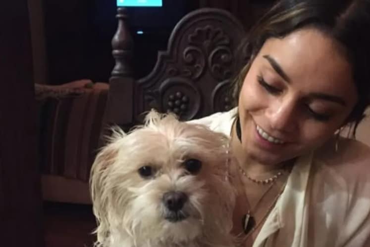 Vanessa Hudgens mourns dog Darla in emotional tribute
