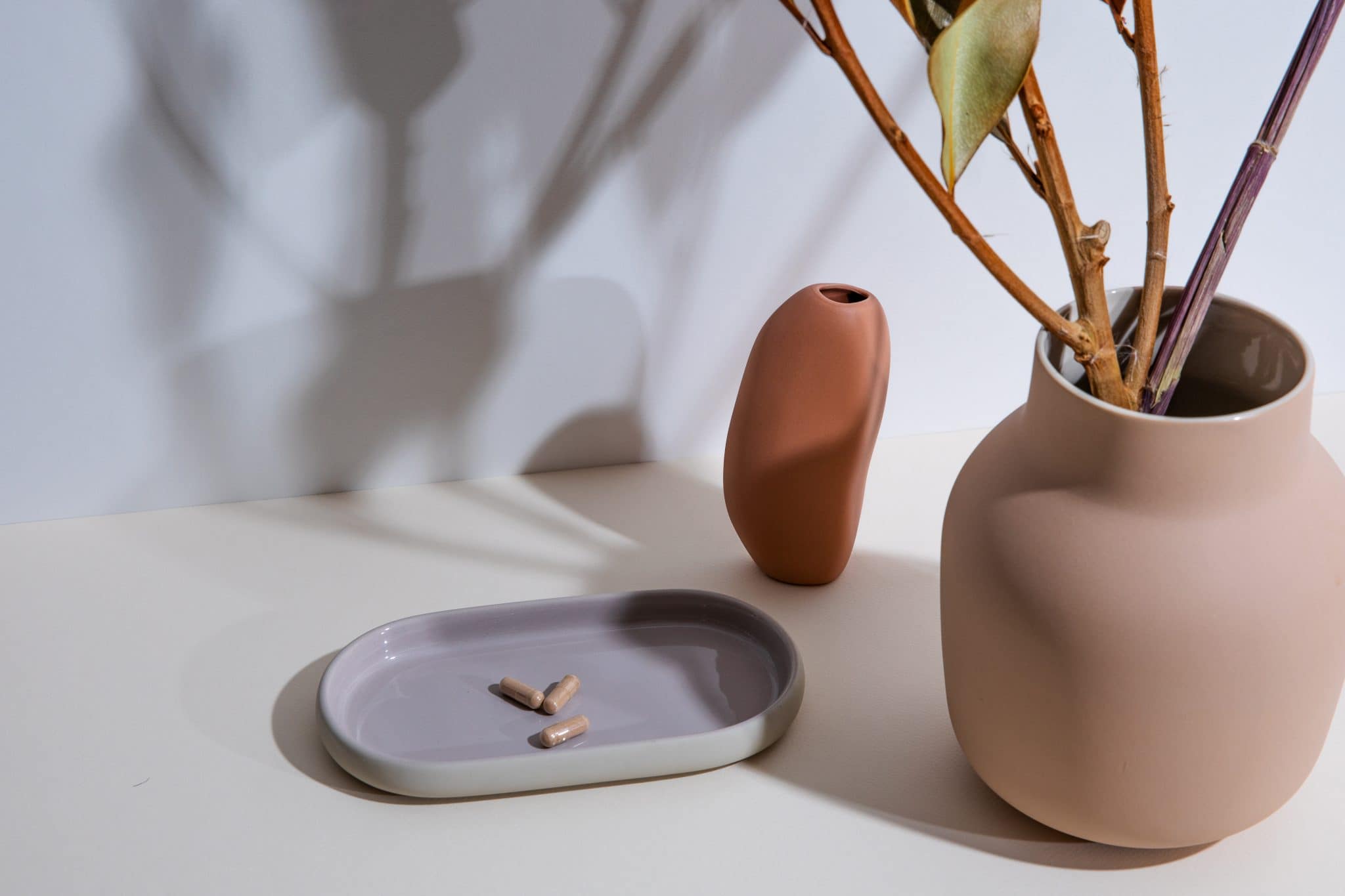 functional mushrooms