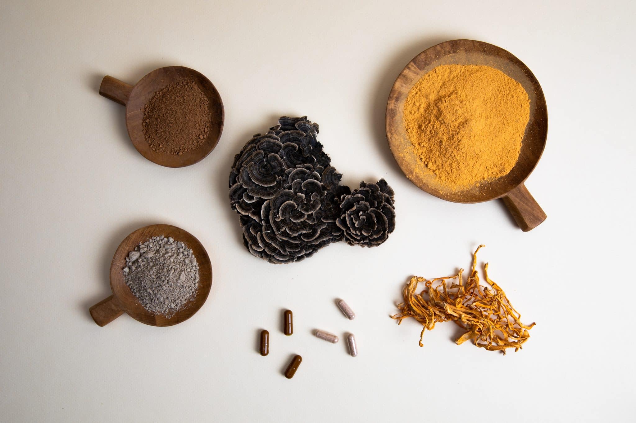 functional mushrooms