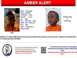 2 year old boy alligator