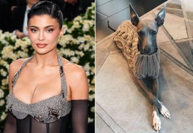 Kylie Jenner Mourns Death of Beloved Dog Norman: ‘My Heart Aches’