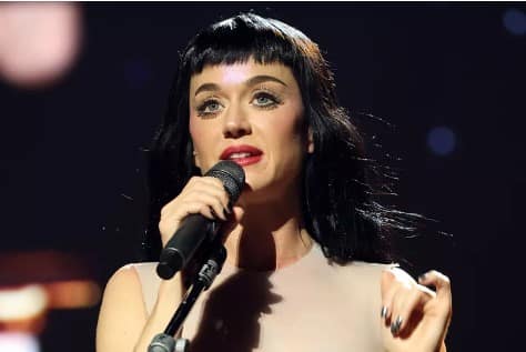 Katy Perry Helps Fan After On-Stage Collapse in Detroit