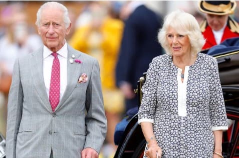 Queen Camilla Battles “Terrible” Wasp Invasion and Swarming Bees This Summer