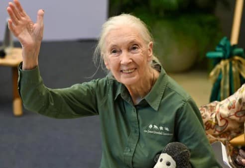 Jane Goodall’s Cause of Death Revealed After Peaceful Passing on Speaking Tour