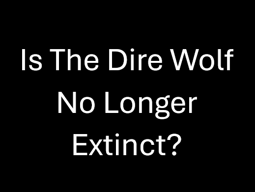 Is The Dire Wolf No Longer Extinct?