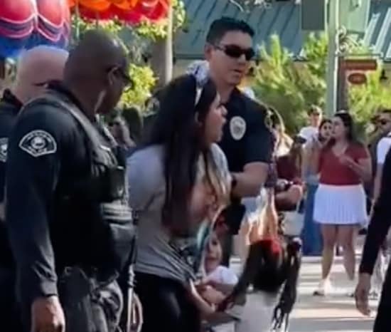 Why Was Disneyland Mom Arrested Video