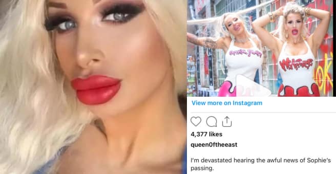 Sophie Anderson Passed Away