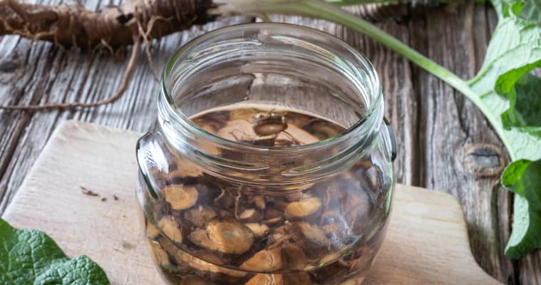 Sea Moss Black Seed Oil Ashwagandha and Burdock Root