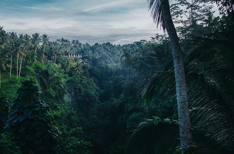 Ubud, Bali