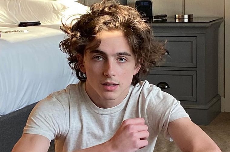 timothée chalamet