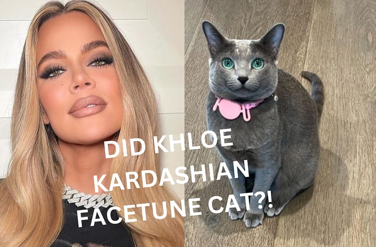 Did Khloe Kardashian Facetune Photo Of Cat?