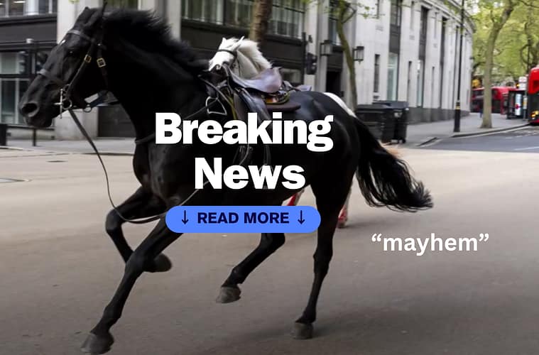 Why were Cavalry Horses Loose in London?