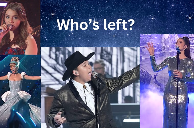 Who are American Idol finalists?