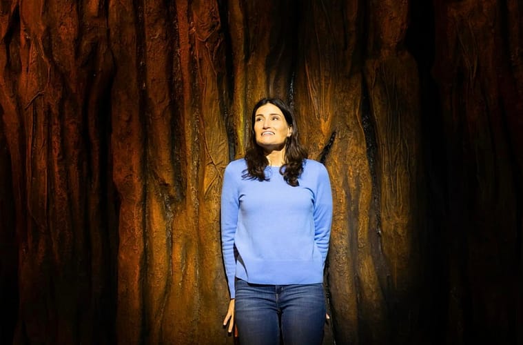 Idina Menzel is coming back to Broadway