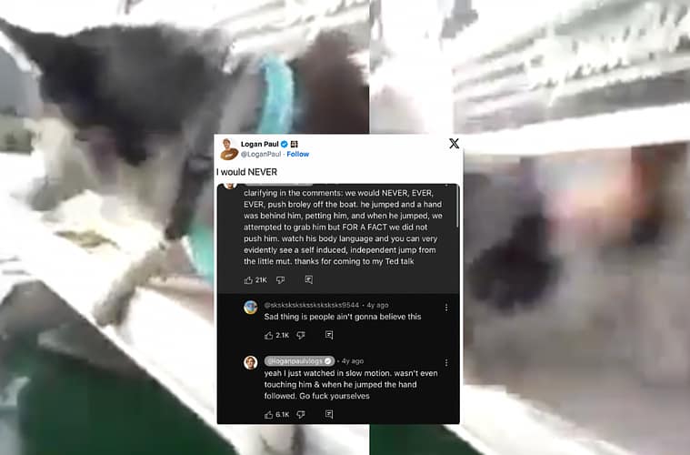 Logan Paul Pushes Dog Off Boat Video Controversy Explained