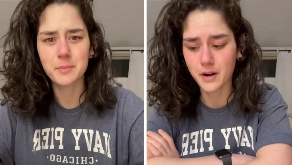 why did Elyse Meyers delete tik tok