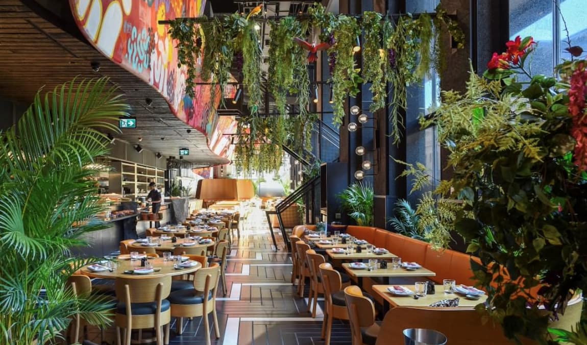 jungle brunch, indoor jungle interior and dining exerience