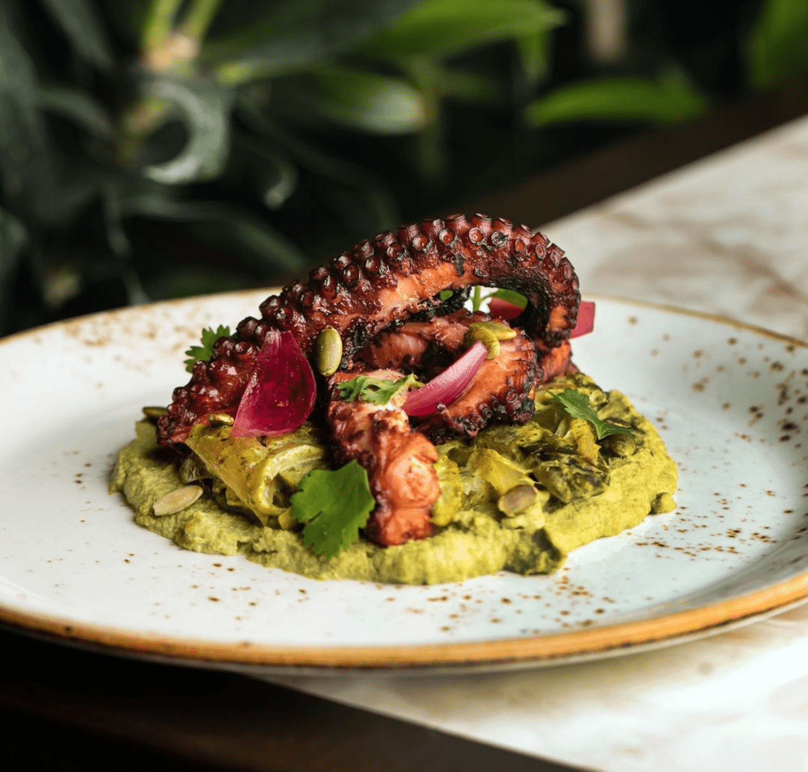 New Toronto Restaurants To Try