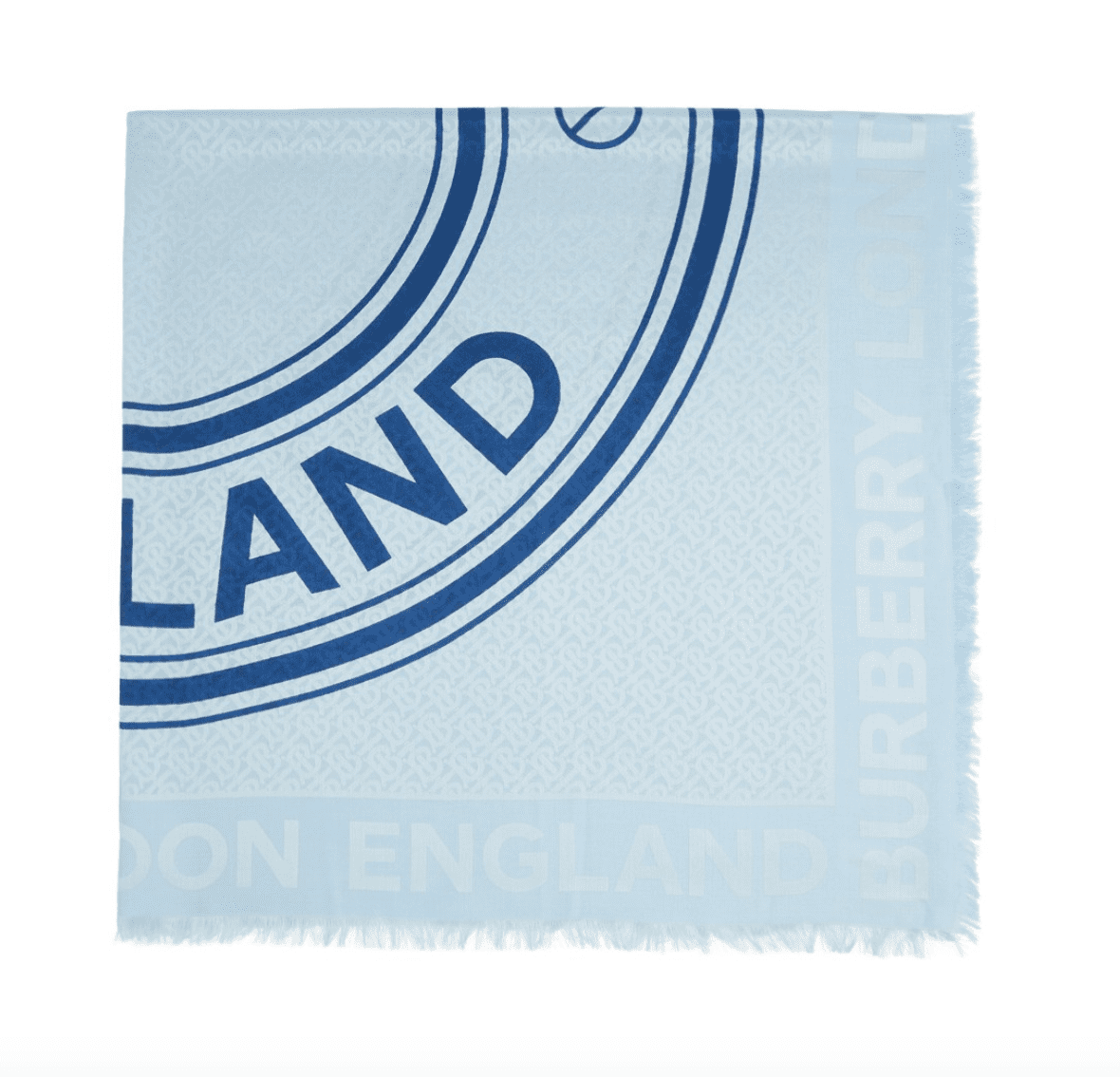 blue burberry scarf