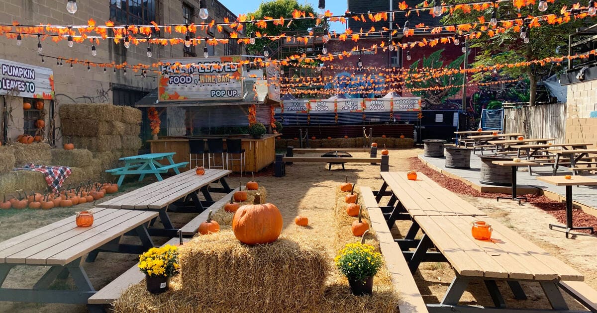 Pumpkin Patches and Horror Houses: Things To Do This October