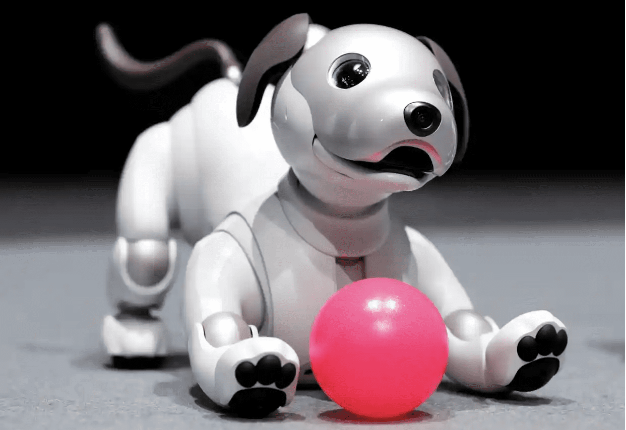 The Sony Aibo.