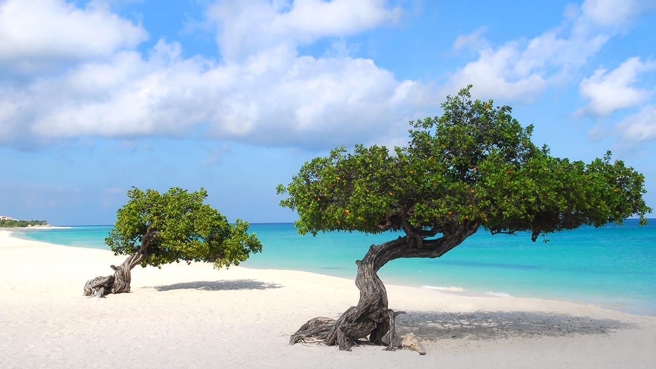Destinations: Eagle Beach, Aruba