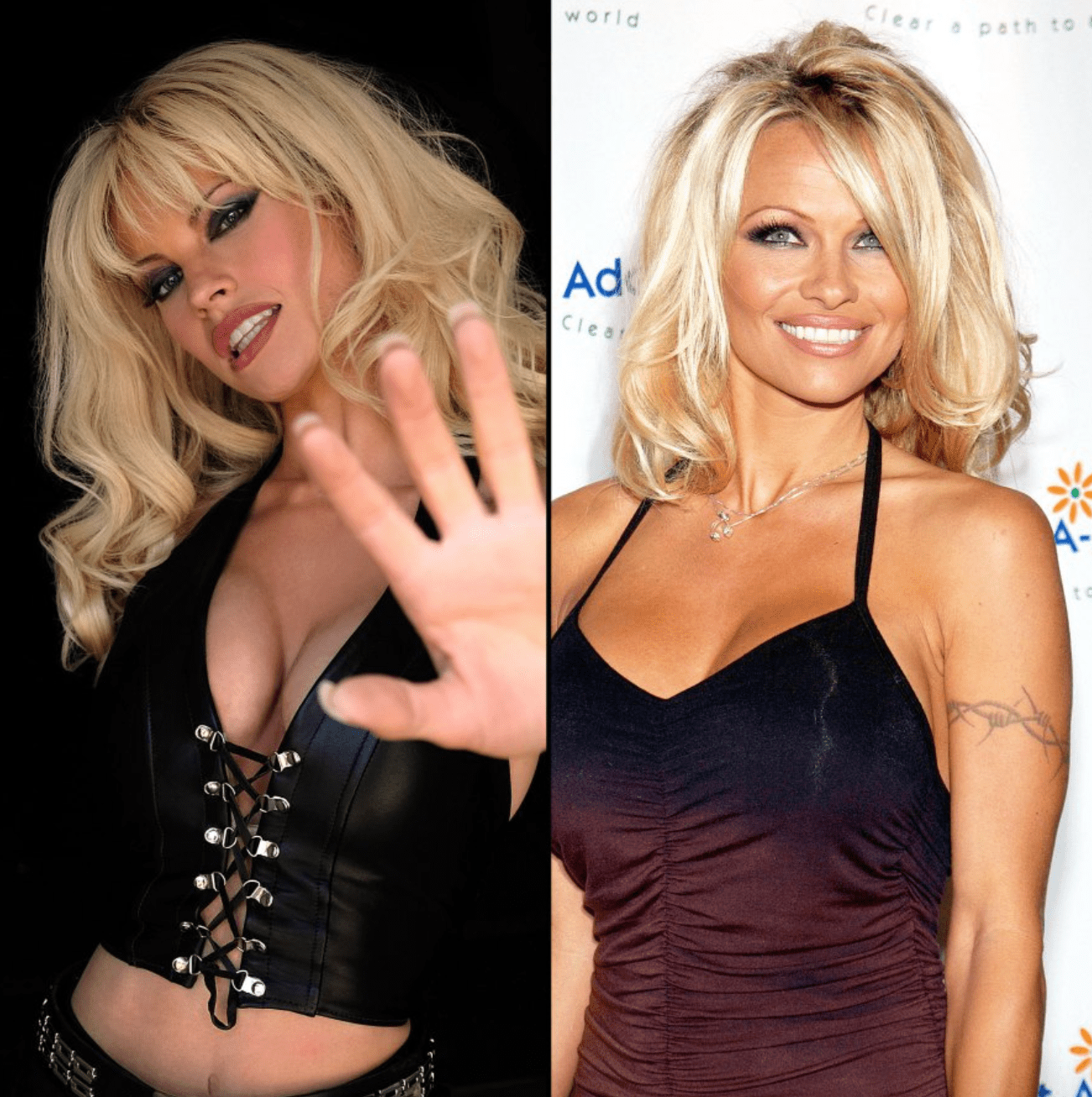 pamela anderson and lily james