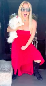 Britney Spears Biopic Announced Universal Pictures