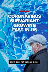 JN 1 Covid Variant Symptoms What are They