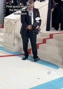 met gala cockroach