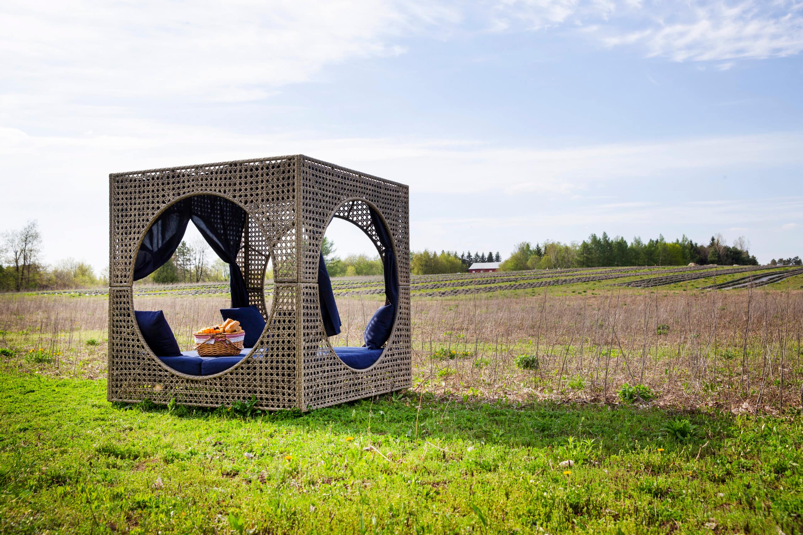 avalon lavender farm