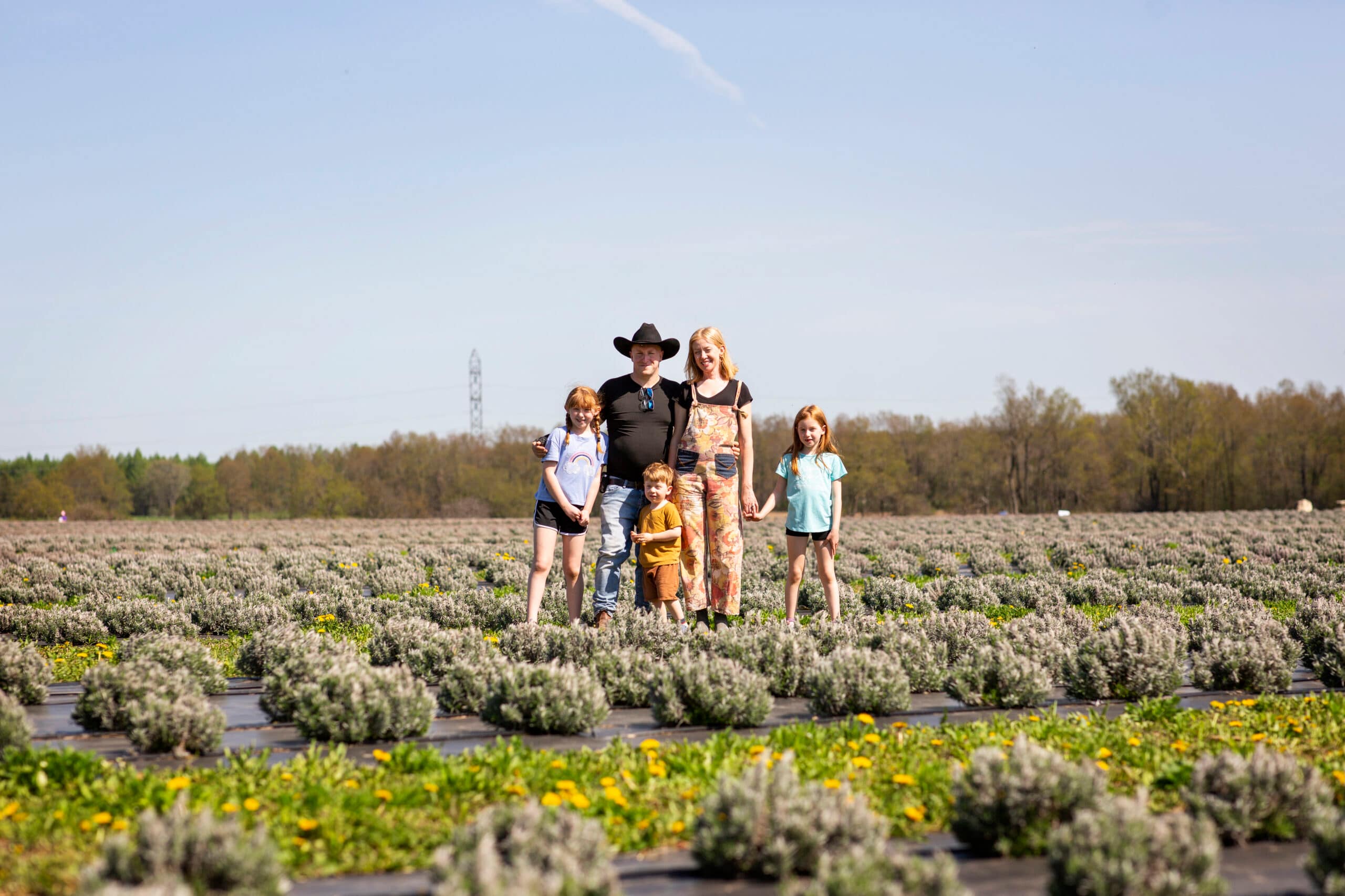 avalon lavender farm