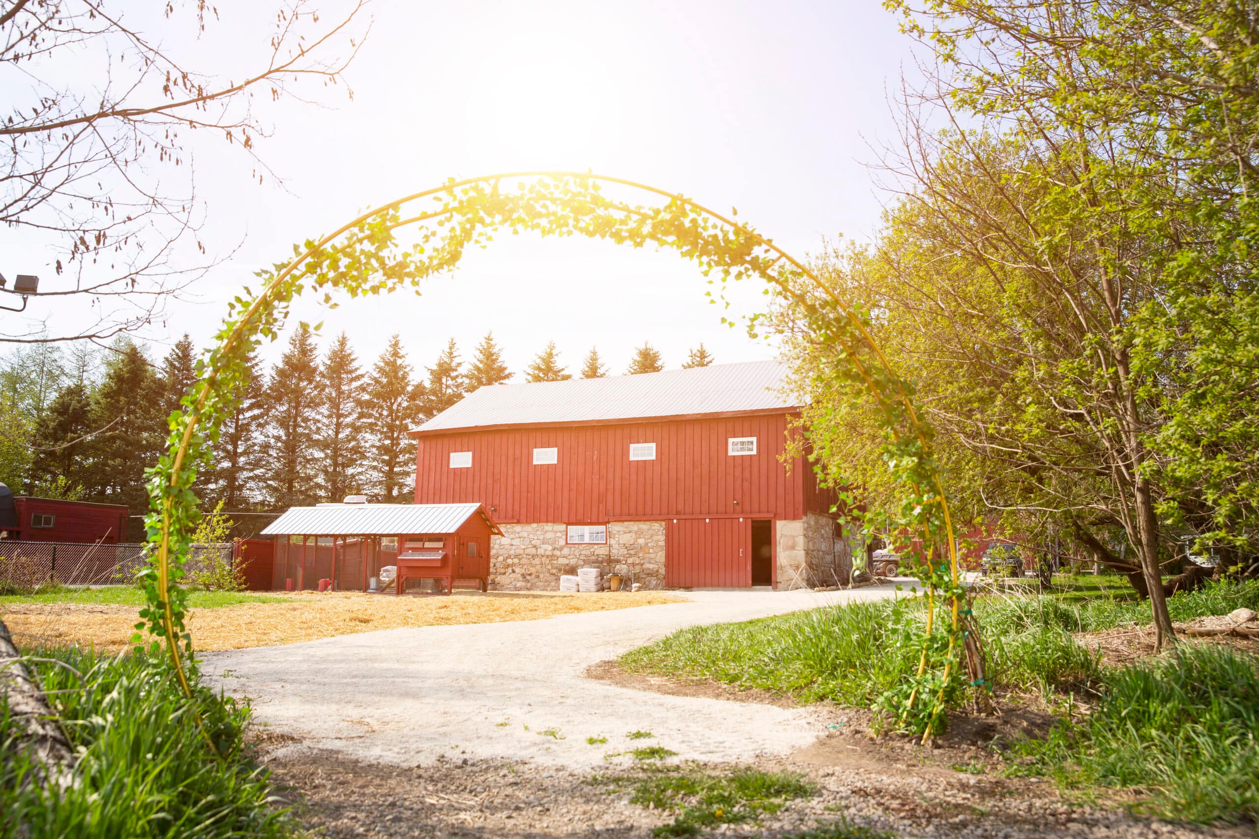 avalon lavender farm