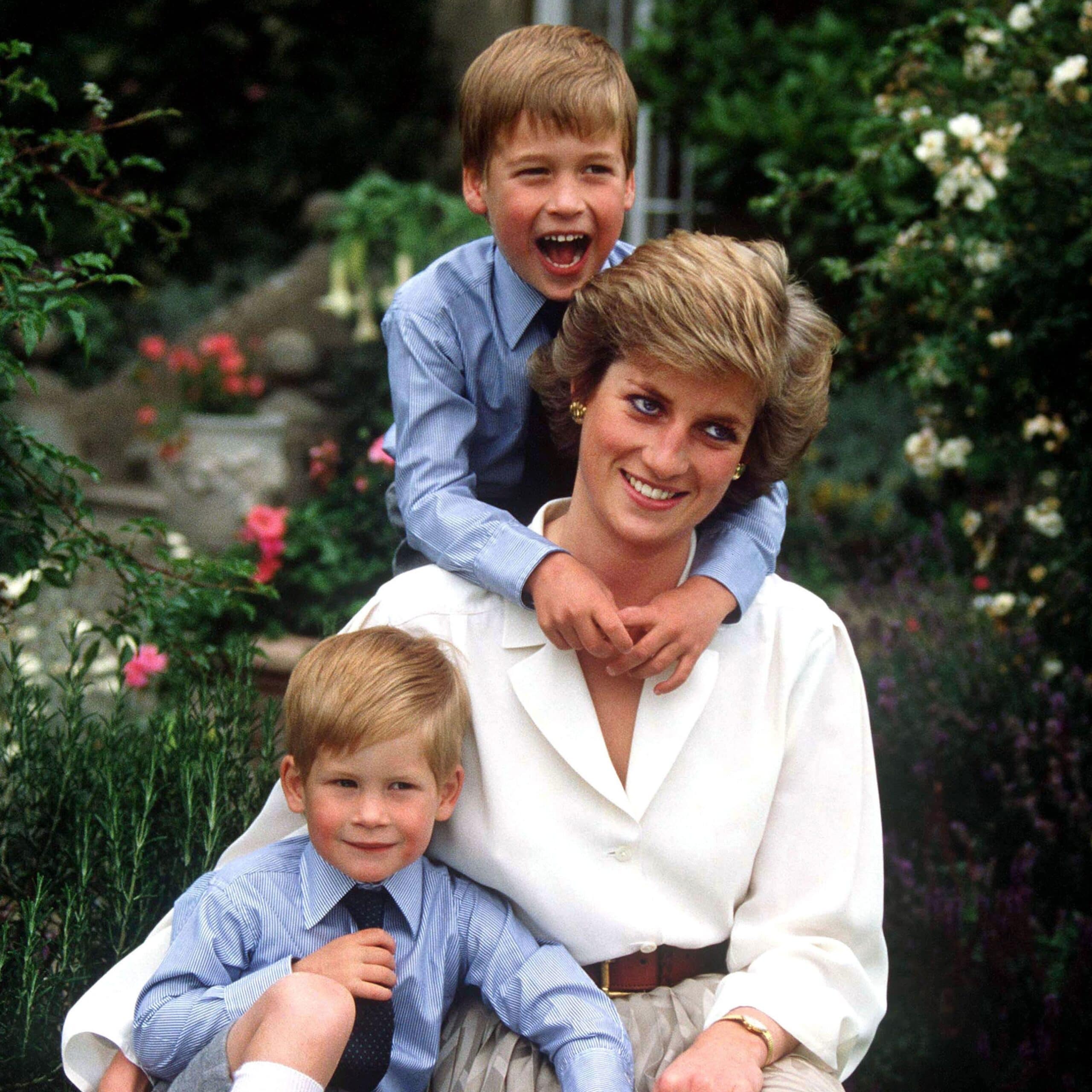 Princess Diana pictured with Prince Harry and Prince William