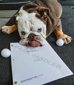 Adam Sandler Announces Happy Gilmore 2