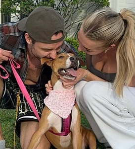 Liam Payne's Girlfriend Kate Cassidy Revealed Wedding Plans