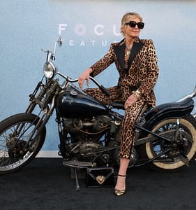 The Bikeriders; Where to Watch