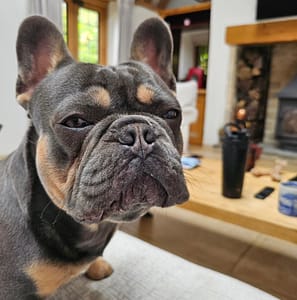 Henry Cavill, Father-to-Be