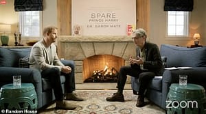 Prince Harry chatting with Dr. Gabor Maté in live interview.