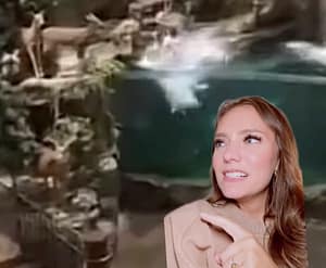 Leeds Bass Pro Shop Video Man Jumps In Water Naked