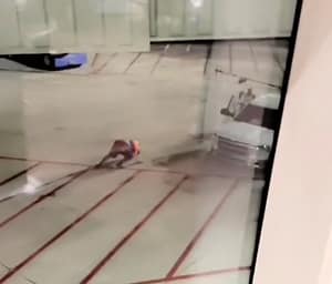 passenger jumps out of plane