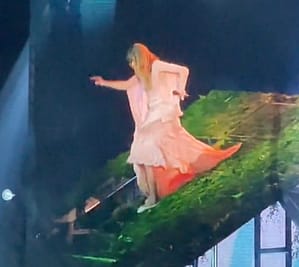 Taylor Swift Falls