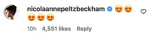 nicola peltz comment on selena gomez selfie