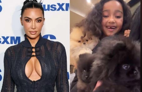 Kim Kardashian Shows Kids Playing With Christmas Puppies After PETA Backlash