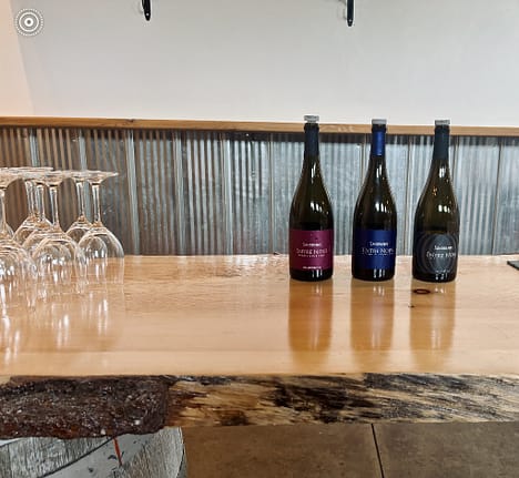 sandbags winery review