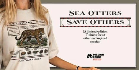 Toronto Zoo Launches Taylor-Swift-Inspired T-Shirt for Endangered Species Fund