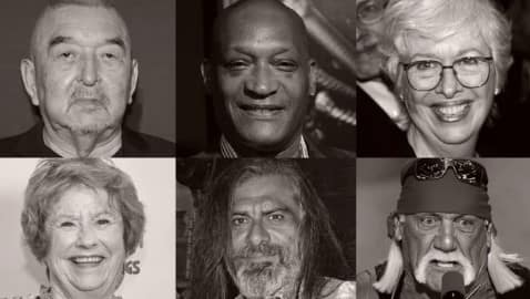 Graham Greene, Tony Todd Omitted from 2025 Emmys In Memoriam